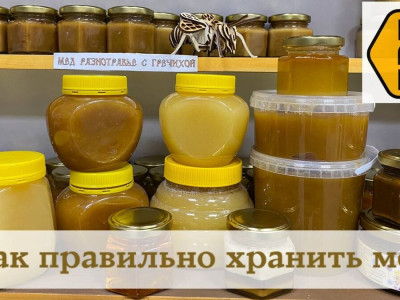 Как правильно хранить мед? Как правильно хранить мед?