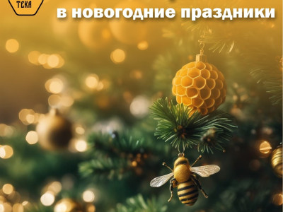 График работы Музея меда в новогодние праздники График работы Музея меда в новогодние праздники